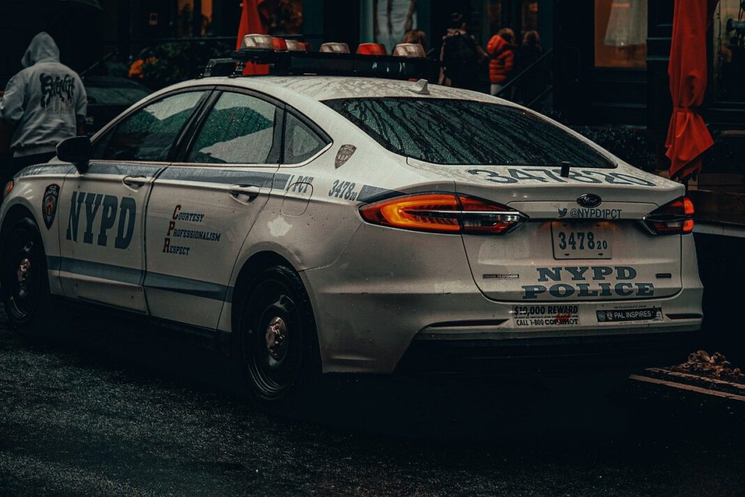 Policía de El Bronx haya restos humanos, arma de fuego y droga en allanamiento