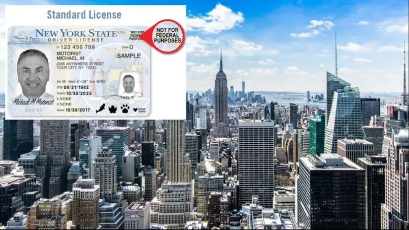 Autoridades neoyorquinas listas para defender datos de indocumentados con licencias de manejo