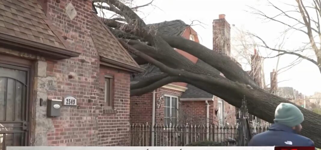 Árbol cae sobre casa de una familia hispana en Queens