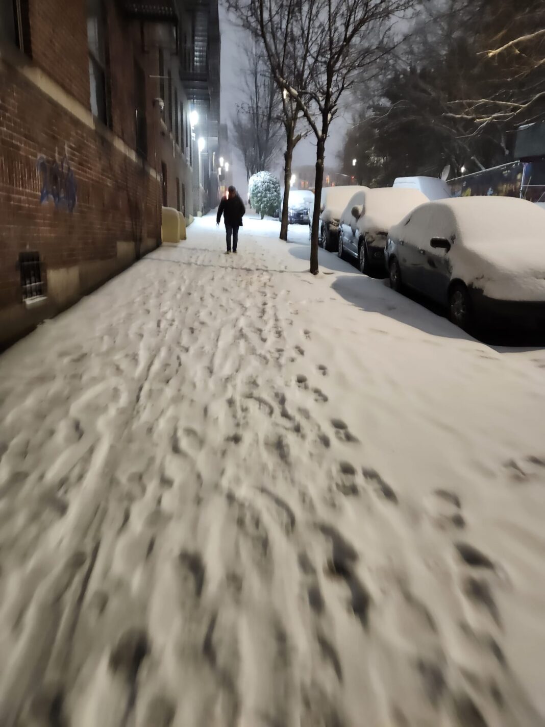 Tormenta invernal deja al menos 5 pulgadas de nieve en Nueva York
