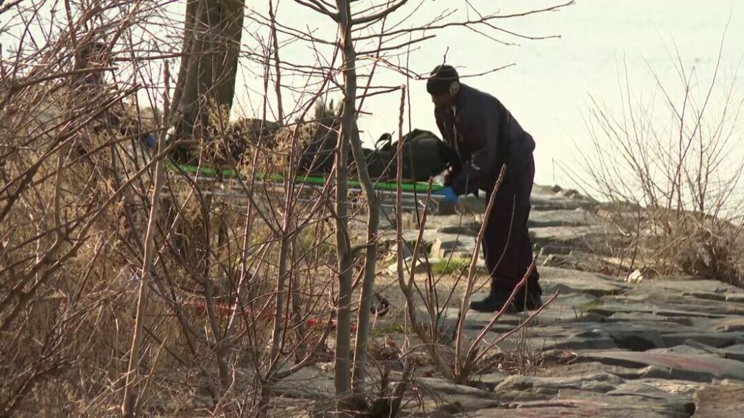 Hallan cadáver de una mujer flotando en el Little Bay en Queens