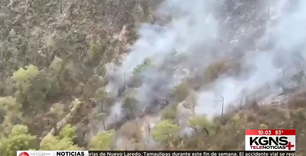 Surgen nuevos detalles sobre la muerte de 12 miembros de una familia tras caer camioneta por un barranco en México