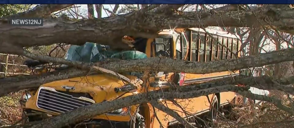 Estudiantes resultan lesionados, luego que fuertes vientos derriban un gran árbol en un autobús escolar en Nueva Jersey