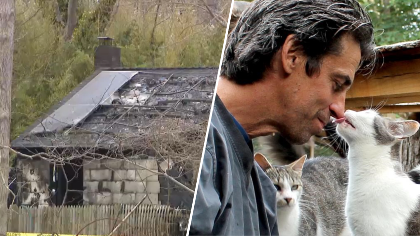 Hombre muere quemado, junto a decenas de gatos, tras un voraz incendio en Nueva York