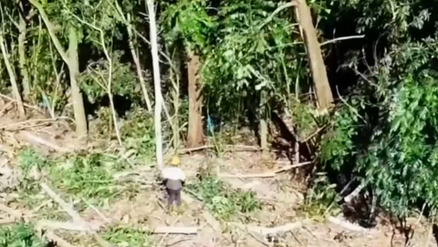 Sacerdote denuncia que Barrick Gold inició tala de árboles: «No le importa el agua, solo el oro»