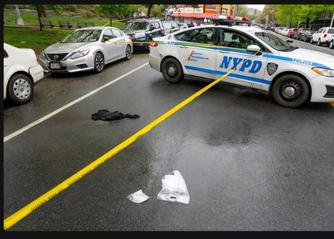 Hombre apuñalado múltiples veces, asesinado en el Bronx, Nueva York