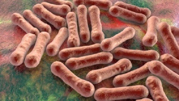 Al menos diez hospitalizados a causa de brote de listeria en California y Nevada