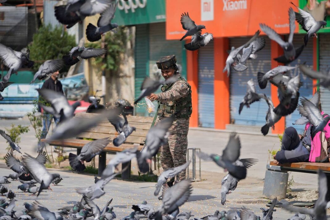 Última hora sobre el enfrentamiento entre India y Pakistán: alto al fuego