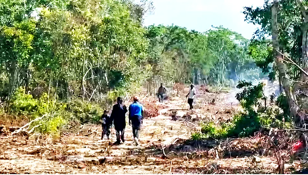 Invasión de terrenos públicos y privados está a la orden del día en República Dominicana