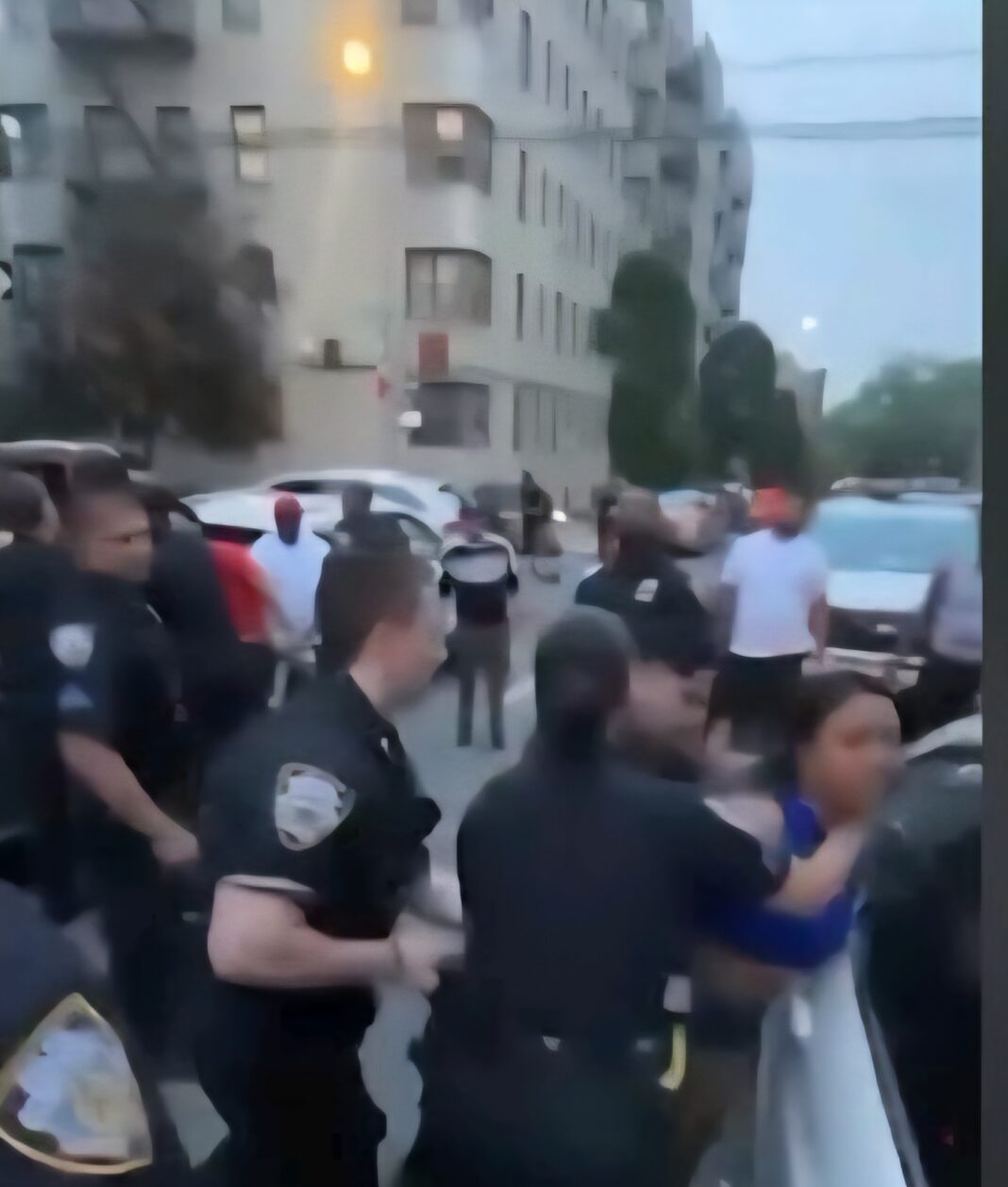 Atrapado en video: queja de ruido 311 termina en un violento enfrentamiento entre la NYPD y un Atrapado en video: queja de ruido 311 termina en un violento enfrentamiento entre la NYPD y un
