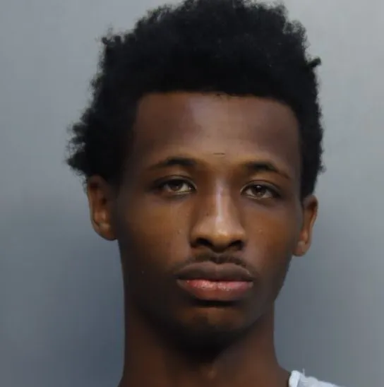 Relata cómo persiguió a hombre que habría violado a niña en un inodoro en Miami Relata cómo persiguió a hombre que habría violado a niña en un inodoro en Miami