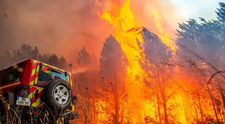 Incendios forestales se propagan en España y Francia tras una ola de calor abrasador Incendios forestales se propagan en España y Francia tras una ola de calor abrasador
