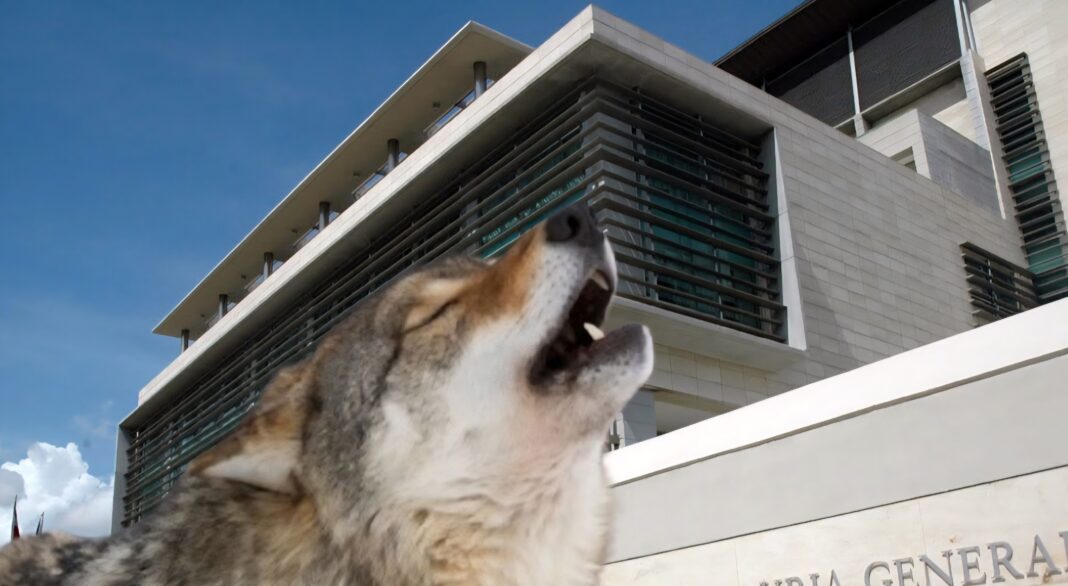 El Ministerio Público pone en marcha la Operación Lobo en RD, en la que están involucrados coroneles de la policía y militares