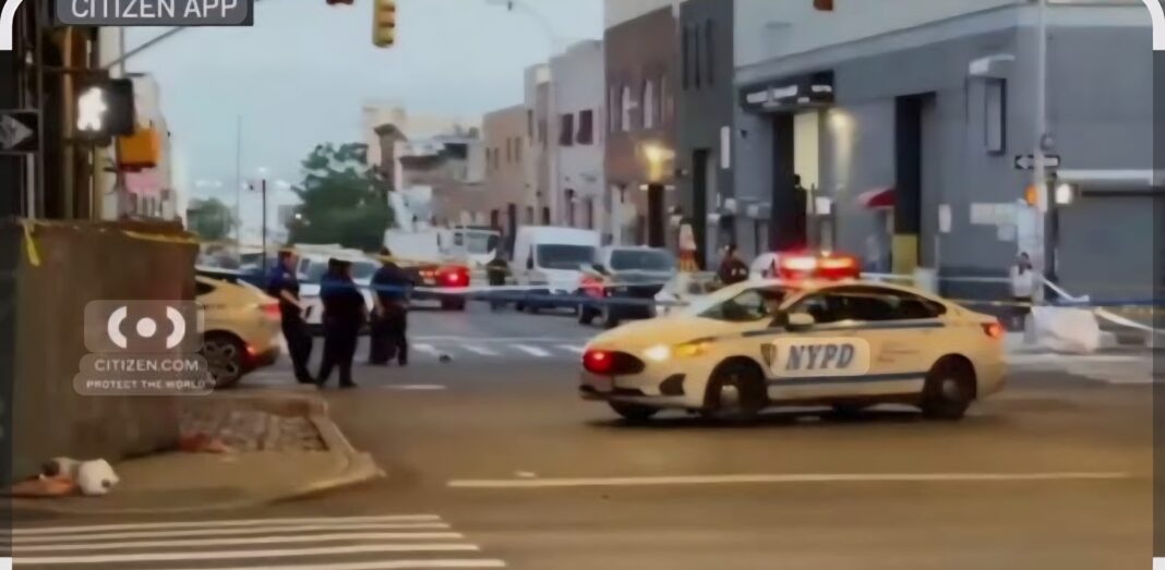 Dos hombres mueren en atropello y fuga matutino en Brooklyn Dos hombres mueren en atropello y fuga matutino en Brooklyn