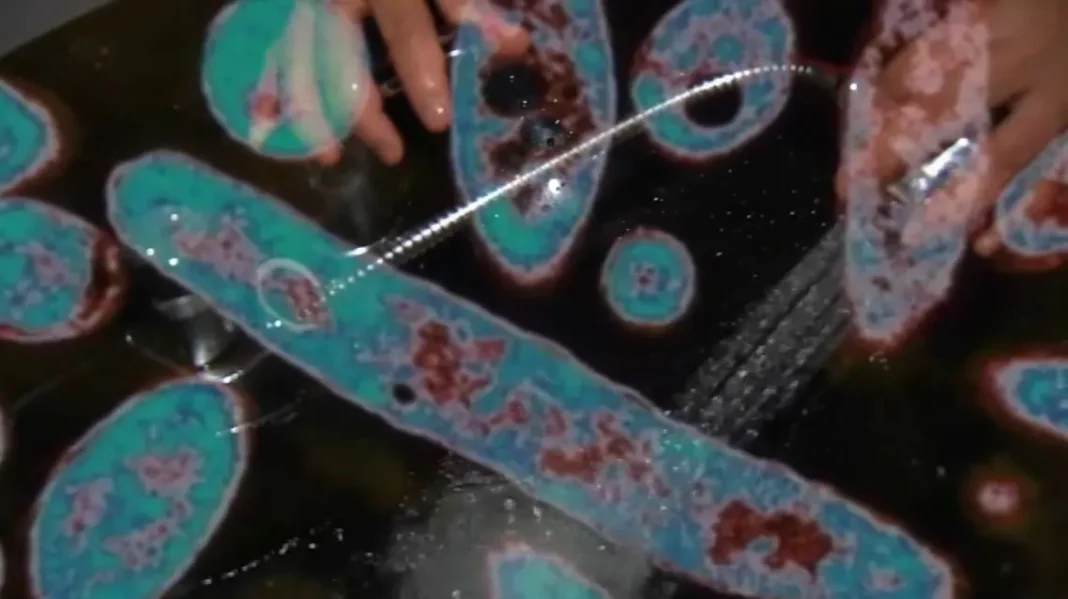 Una sexta persona fallece a causa del brote de legionelosis en NYC, y los contagios llegan a 111