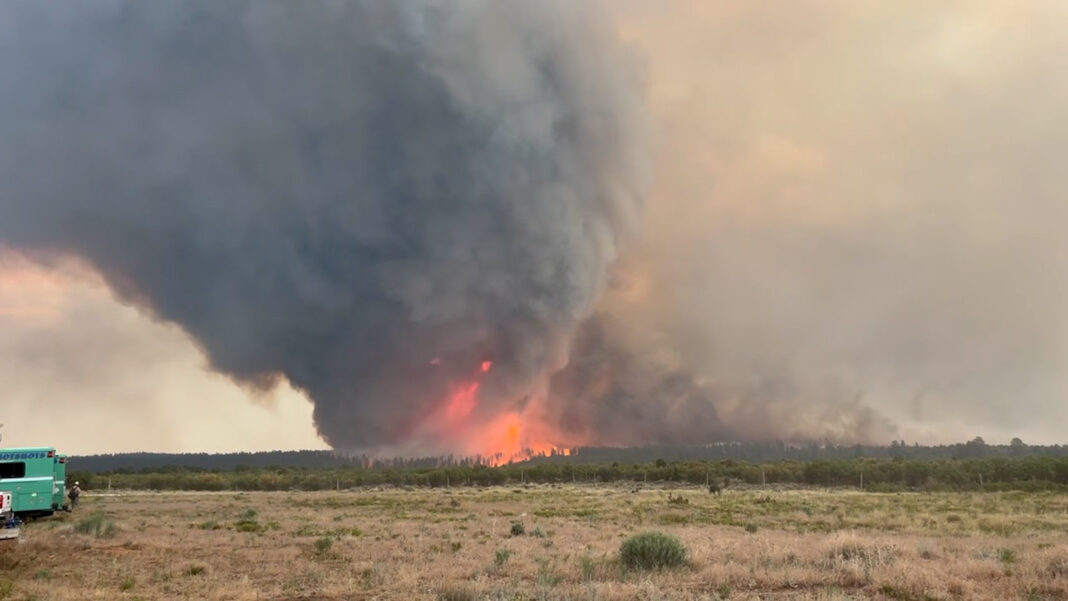 En video: un “tornado de fuego” arde en el incendio de Deer Creek en Utah En video: un “tornado de fuego” arde en el incendio de Deer Creek en Utah