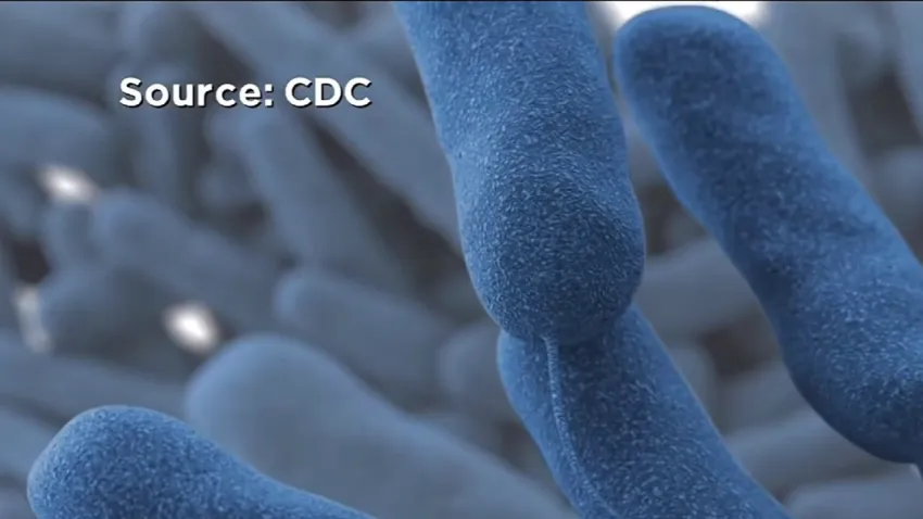 Muere quinta persona por brote de legionelosis en Harlem que ha enfermado a más de 100