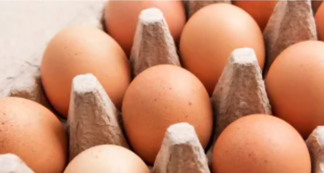 Brote de salmonela vinculado a huevos enferma a 95 personas en EEUU, según los CDC