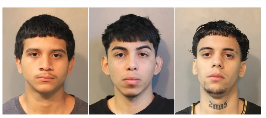 Caen tres pandilleros de la MS-13 en Nueva York tras operativo conjunto de ICE, FBI y policía local