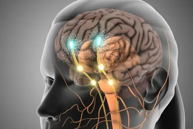 El mal hábito diario que lo llevaría directo al Alzheimer, según Harvard: debe evitarlo a toda costa