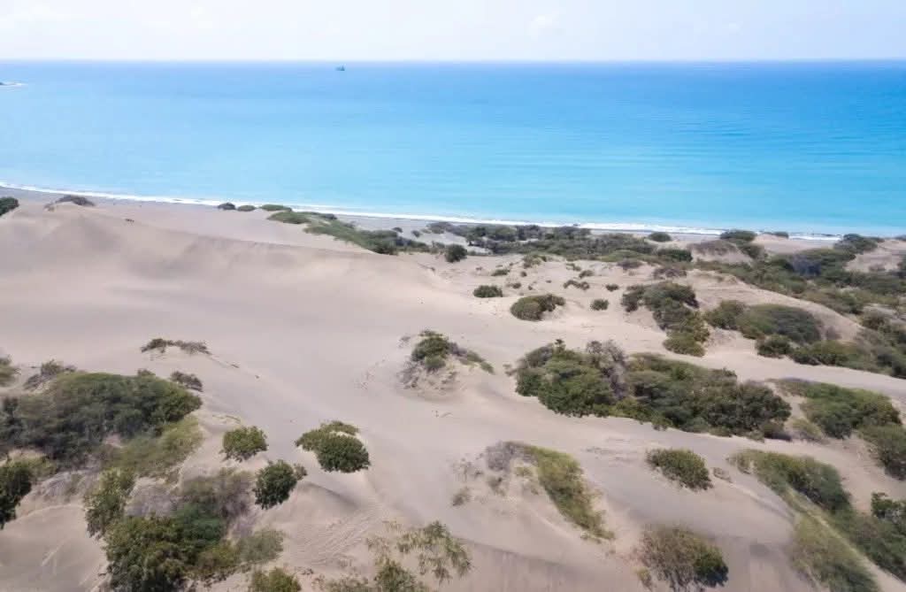 El Caballo de Troya de Fulcar: Delimitar para mutilar Las Dunas