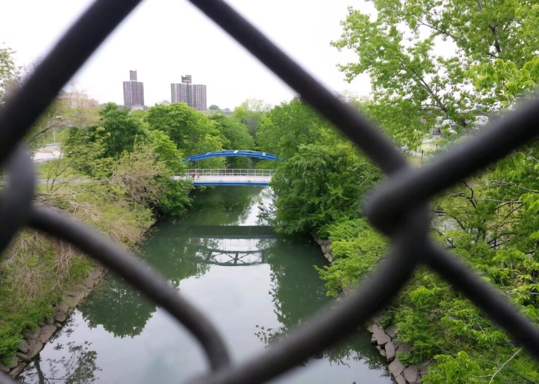 26 años, hombre muerto a tiros en parque del Bronx, dice la NYPD