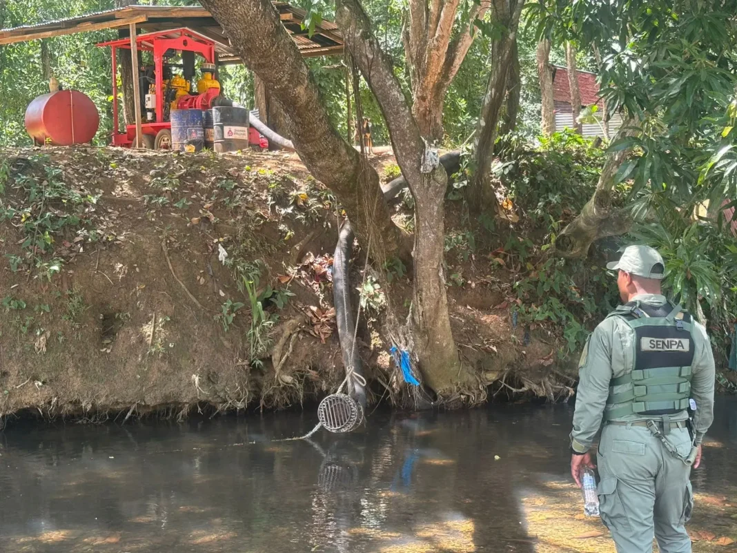 Investigan muerte de peces en ríos Matua e Higüero por contaminación de campo de golf