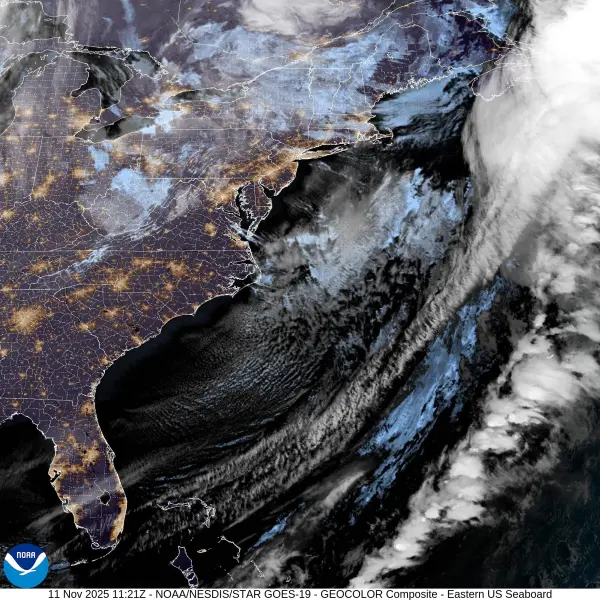 Nueva York experimenta hoy la primera nevada de la temporada, ya que un potente vórtice polar envía una ola de frío ártico al área triestatal.