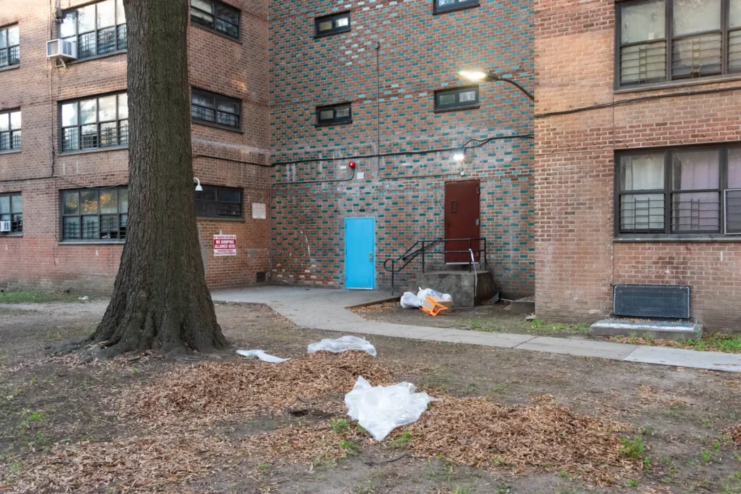 Encuentran a un bebé muerto en una bolsa bajo un montón de hojas detrás de un edificio de la NYCHA en Brooklyn