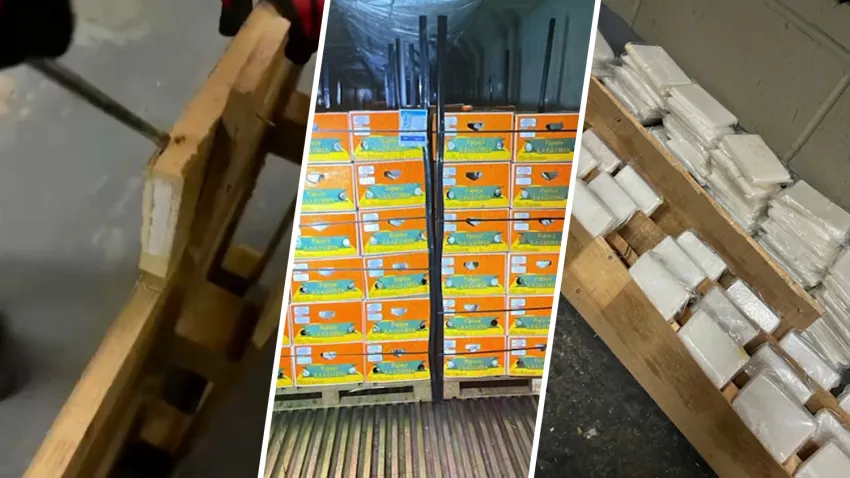 DEA: encuentran 130 kilos de metanfetamina escondidos en palés de papayas, lechozas a bordo de camión en NYC