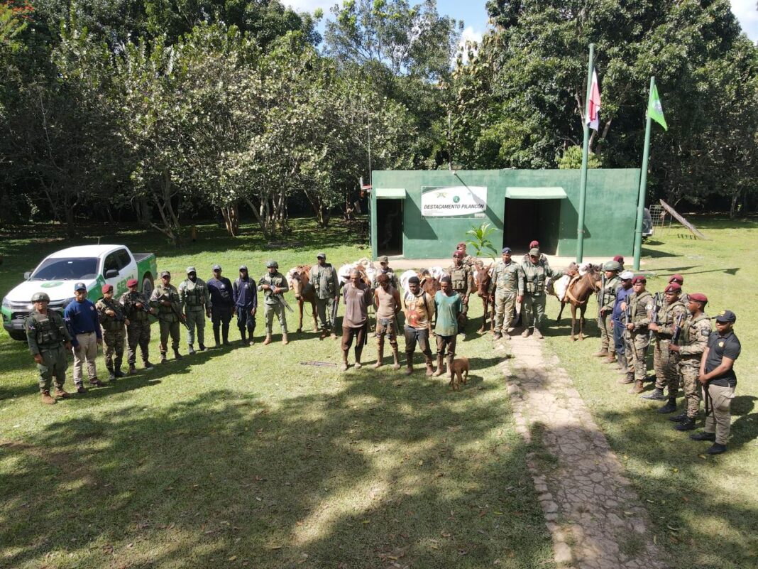 Apresan 56 personas e incautan cinco mulos durante operativo en Parque Nacional Los Haitises