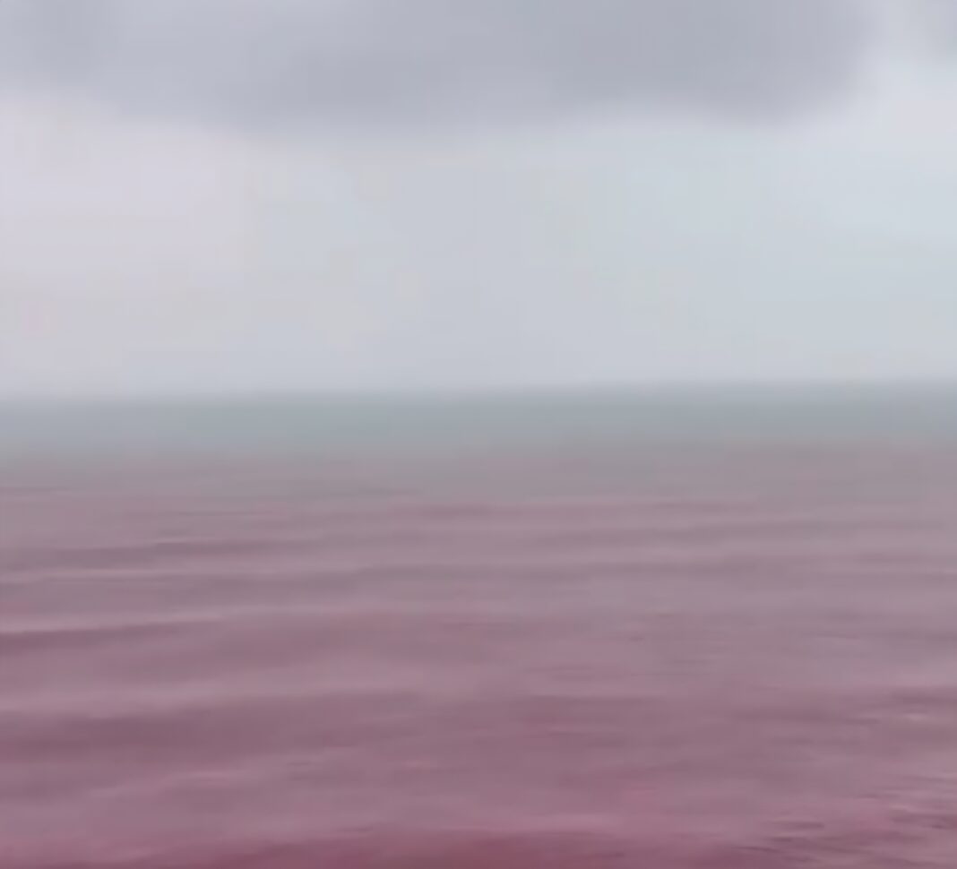 El mar se tiñe de rojo en Irán: qué es este fenómeno inusual y por qué ocurre