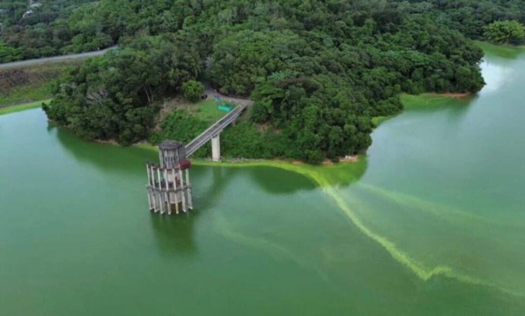 Aguas verdes en la presa de Hatillo generan preocupación en Sánchez Ramírez
