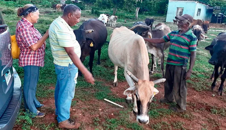 Parceleros del Proyecto Agrario Cumayasa reclaman sus títulos definitivos