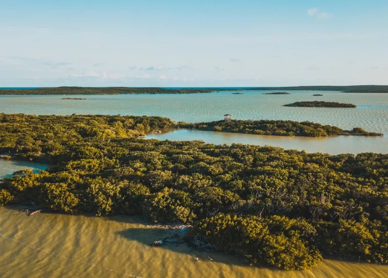 Procuradora instruye investigación penal sobre ocupaciones ilegales y fraudes inmobiliarios en Áreas Protegidas en RD