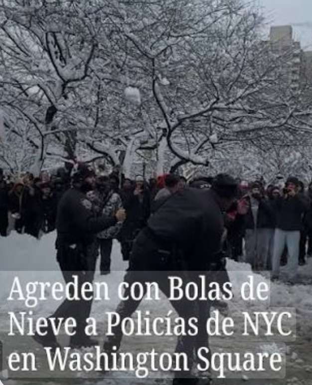 NYPD investiga video de policías atacados con bolas de nieve en parque de NYC