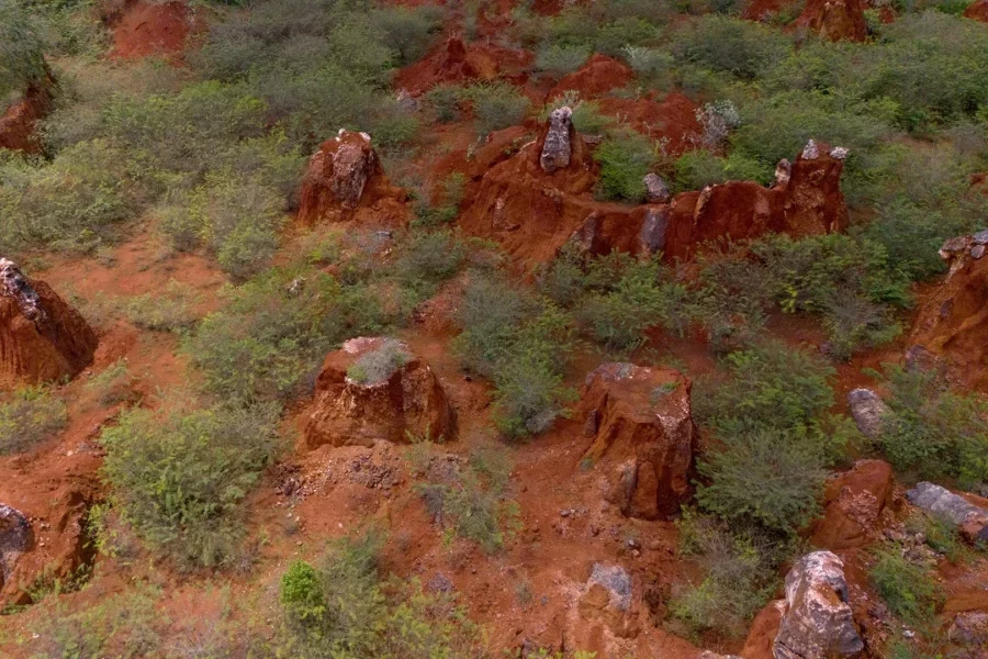 Tierras raras, oro y hasta petróleo: el potencial oculto que impulsa la minería en RD