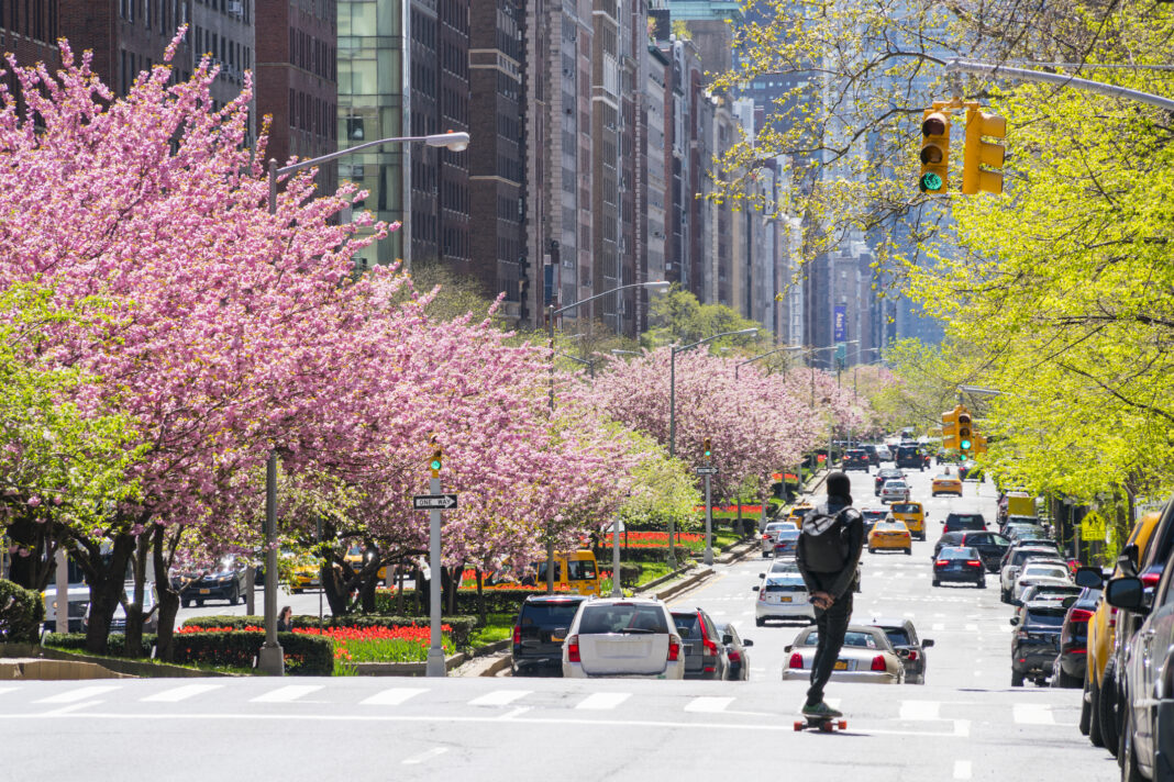 Vuelve la temporada de alergias y puede que no tengamos un respiro hasta el verano Vuelve la temporada de alergias y puede que no tengamos un respiro hasta el verano