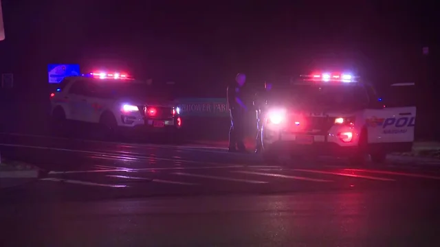 Un joven de 15 años murió y dos resultaron heridos en un tiroteo en el parque Eisenhower de Long Island, según informó la policía Un joven de 15 años murió y dos resultaron heridos en un tiroteo en el parque Eisenhower de Long Island, según informó la policía