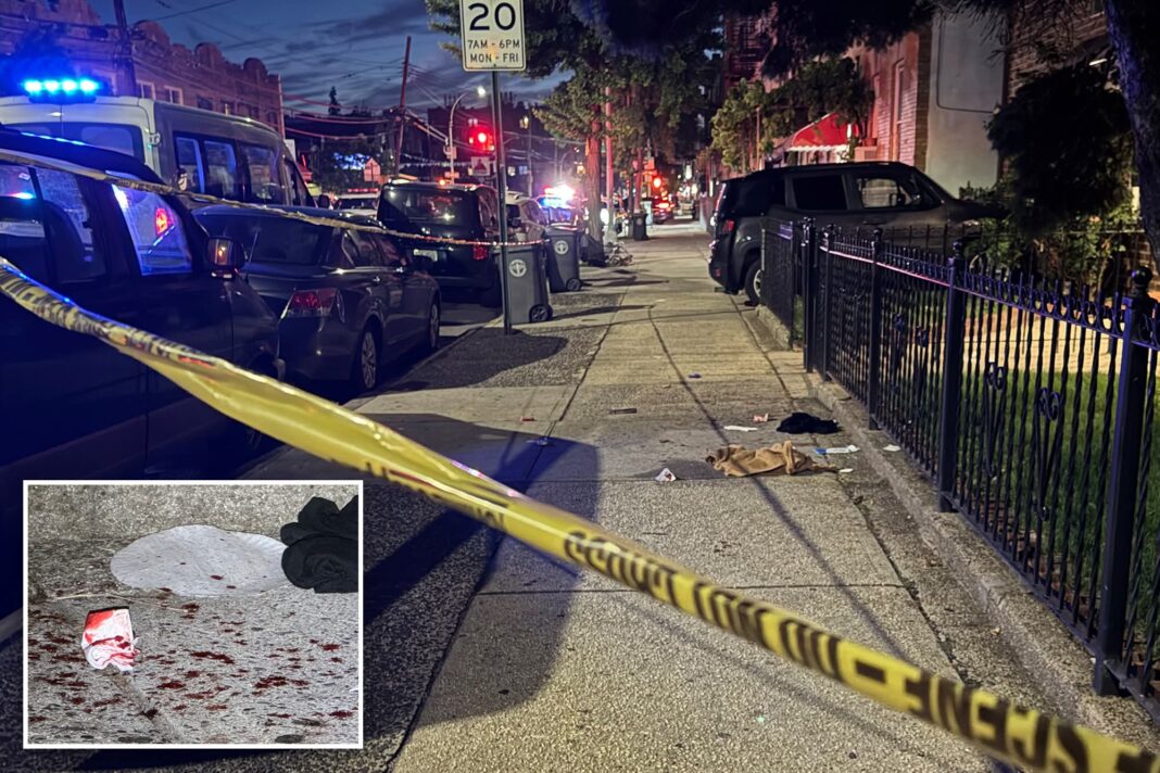 Dos hombres y una mujer resultaron heridos tras un tiroteo en El Bronx tras una discusión que se tornó violenta Dos hombres y una mujer resultaron heridos tras un tiroteo en El Bronx tras una discusión que se tornó violenta
