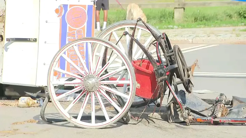 Un joven de 18 años muere tras accidente de carruaje tirado por un caballo en Central Park Un joven de 18 años muere tras accidente de carruaje tirado por un caballo en Central Park