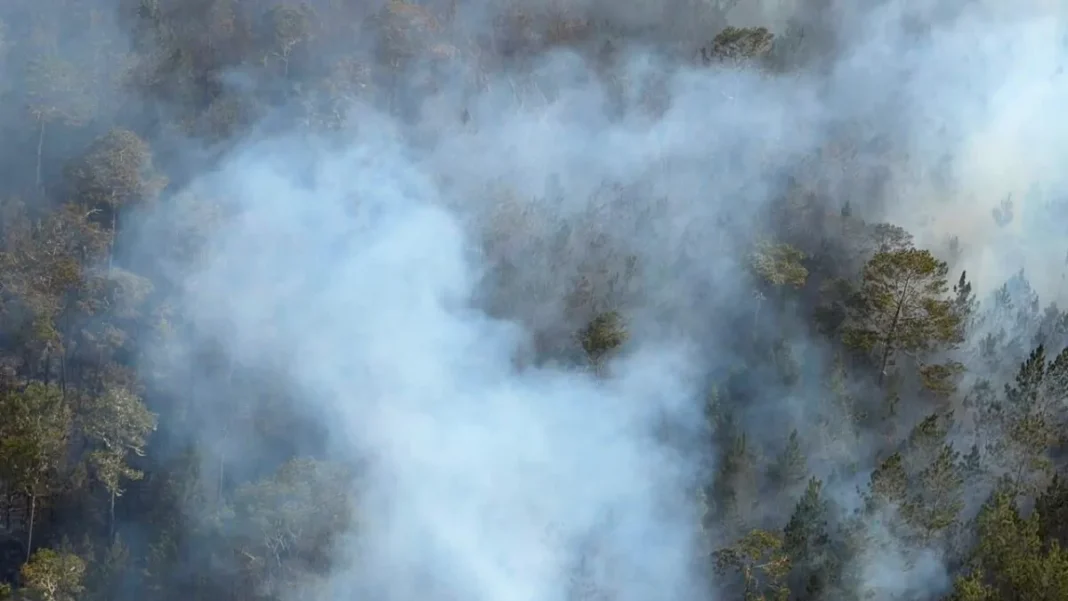 Sequía y vientos complican control de incendio en la Sierra de Bahoruco, en RD Sequía y vientos complican control de incendio en la Sierra de Bahoruco, en RD