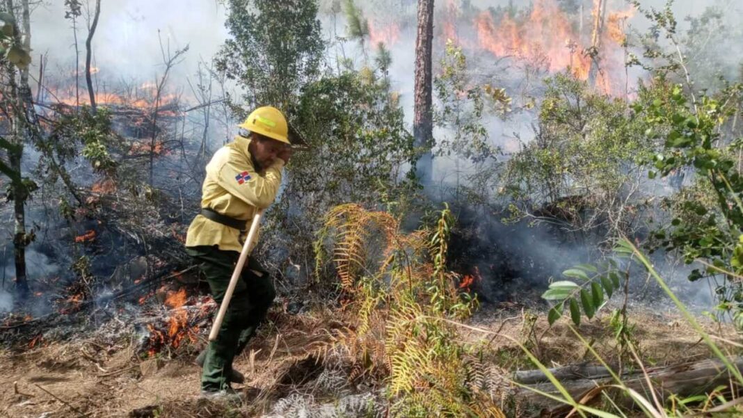 Fuego se extiende por Valle de Dios y afecta cientos de tareas de terreno en zona montañosa de Los Cacaos, RD Fuego se extiende por Valle de Dios y afecta cientos de tareas de terreno en zona montañosa de Los Cacaos, RD