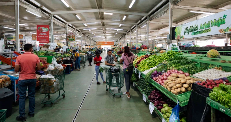 Rescatar El Merca Santo Domingo: Clave para la seguridad y soberanía alimentaria Rescatar El Merca Santo Domingo: Clave para la seguridad y soberanía alimentaria
