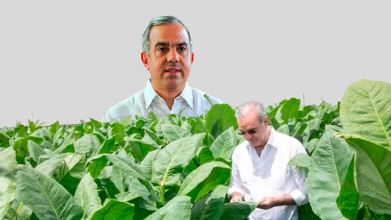 El tabaco dominicano: Historia, Estado y el papel del INTABACO El tabaco dominicano: Historia, Estado y el papel del INTABACO
