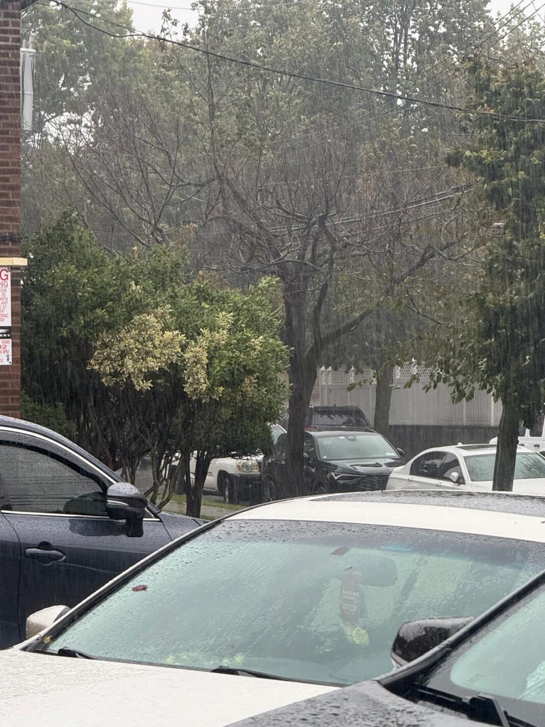 Nueva York y Nueva Jersey declaran Estado de Emergencia para algunos de sus condados debido a la tormenta Nor’easter Nueva York y Nueva Jersey declaran Estado de Emergencia para algunos de sus condados debido a la tormenta Nor’easter