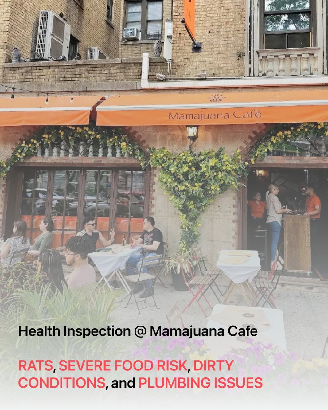 Inspección de sanidad en Mamaguana Café encuentra ratones, plagas y reciduos líquidos en la tubería Inspección de sanidad en Mamaguana Café encuentra ratones, plagas y reciduos líquidos en la tubería