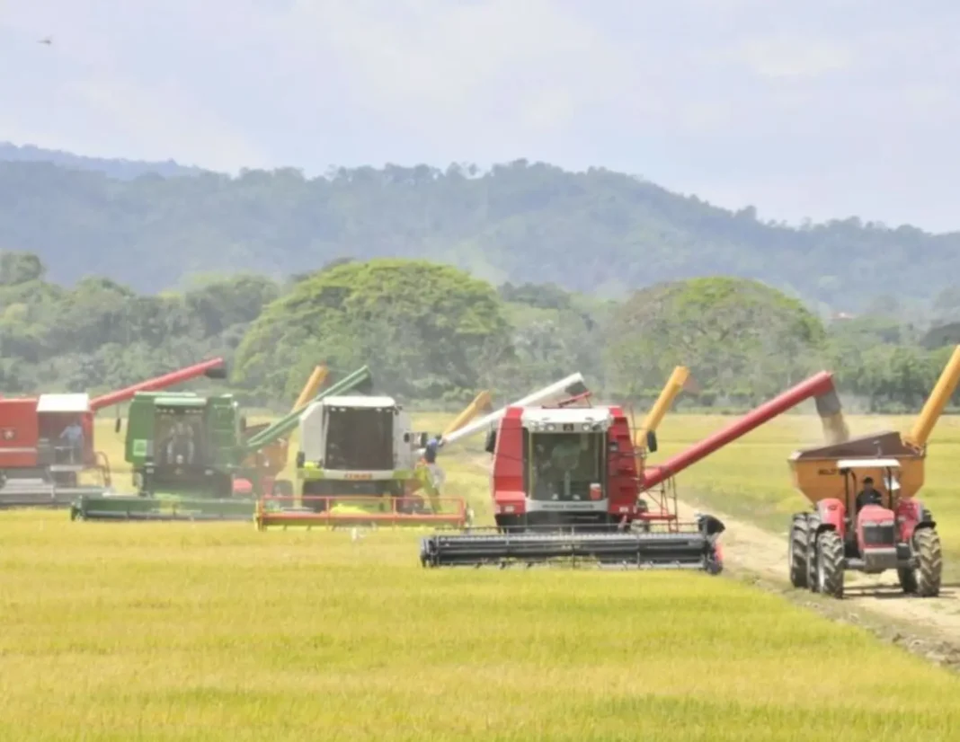 Arroceros dominicanos afirman no podrán competir con EE.UU., sugieren varias medidas para compensar, Mientras los Arroceros colombianos advierten nuevo Paro Nacional Arroceros dominicanos afirman no podrán competir con EE.UU., sugieren varias medidas para compensar, Mientras los Arroceros colombianos advierten nuevo Paro Nacional