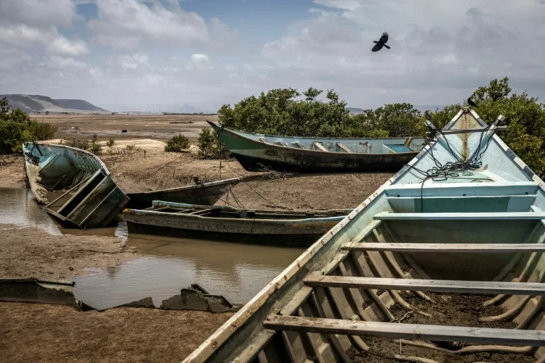Al menos 109 migrantes muertos y 116 desaparecidos en un naufragio frente a Yibuti en África Oriental Al menos 109 migrantes muertos y 116 desaparecidos en un naufragio frente a Yibuti en África Oriental
